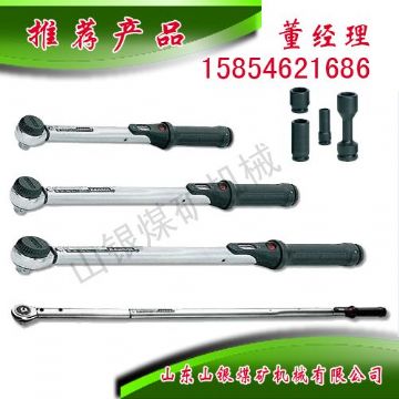 點(diǎn)擊查看詳細(xì)信息<br>標(biāo)題：顯示扭力扳手 閱讀次數(shù)：1551
