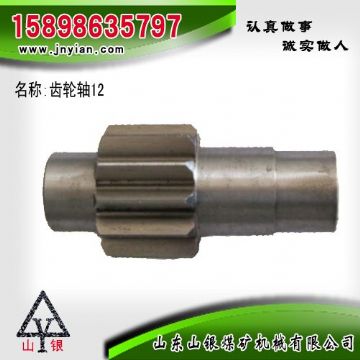 點擊查看詳細信息<br>標題：齒輪軸12 江陰系列配件 閱讀次數(shù)：1934