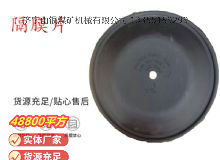 點(diǎn)擊查看詳細(xì)信息<br>標(biāo)題：氣動(dòng)隔膜泵配件-隔膜片 閱讀次數(shù)：143